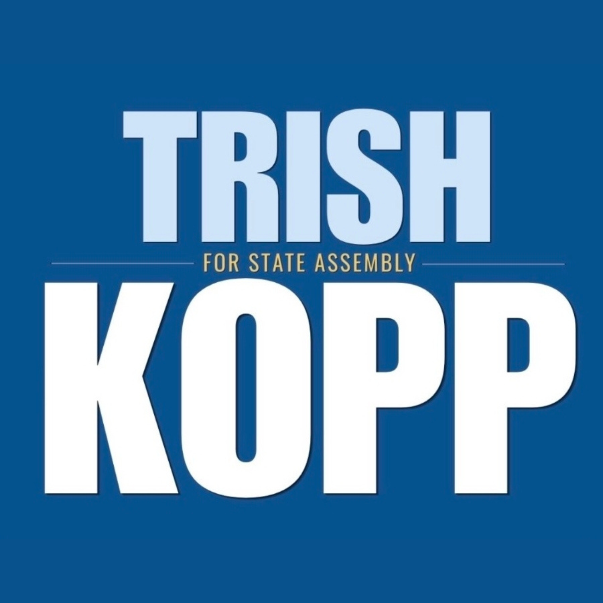 Trish Kopp for State Assembly